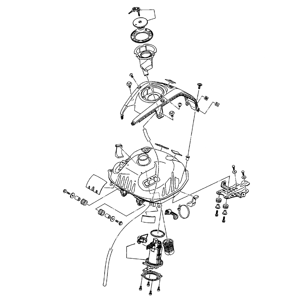 886952 - miniatura 2