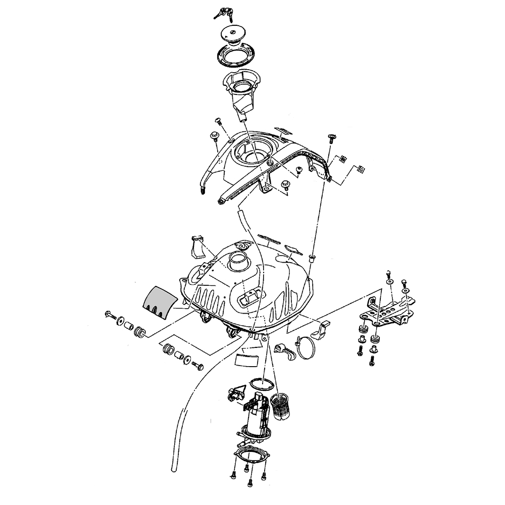 891074 - miniatura 2