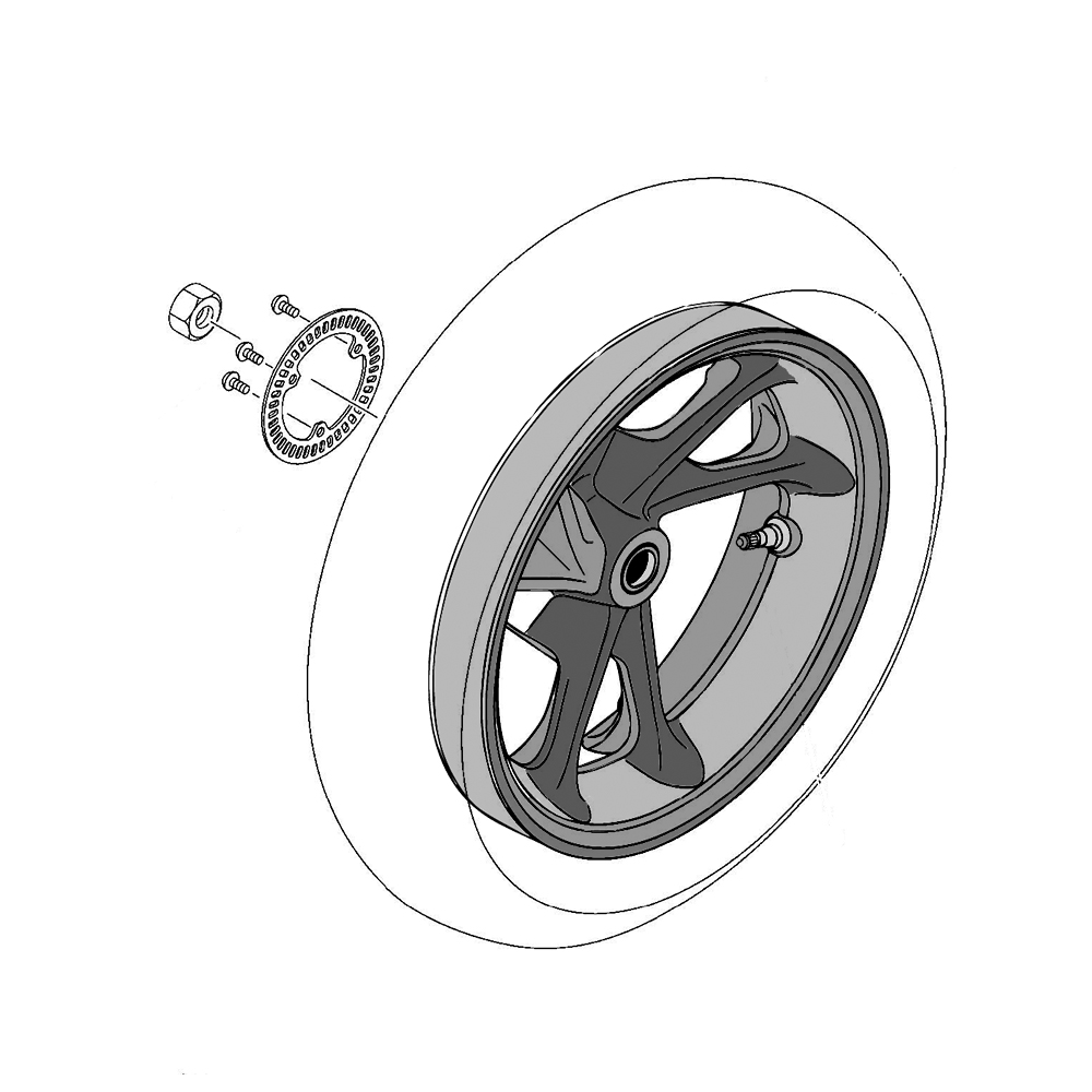 807796 - miniatura 2