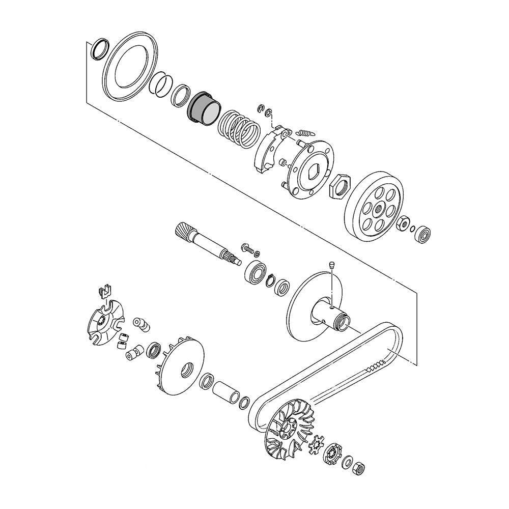 808819 - miniatura 2