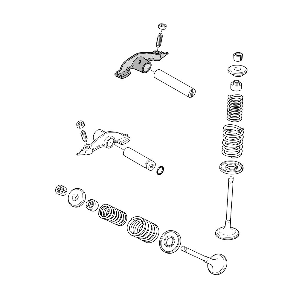 815295 - miniatura 3