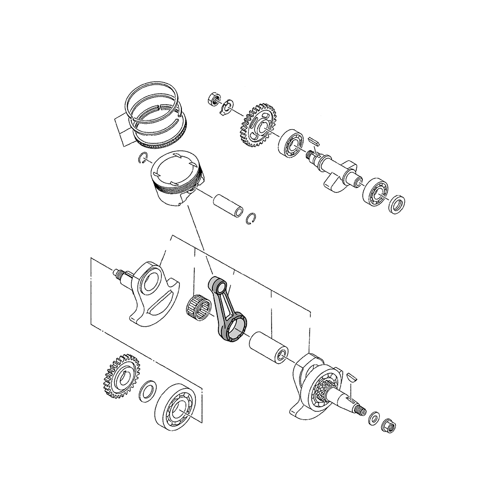 808911 - miniatura 4