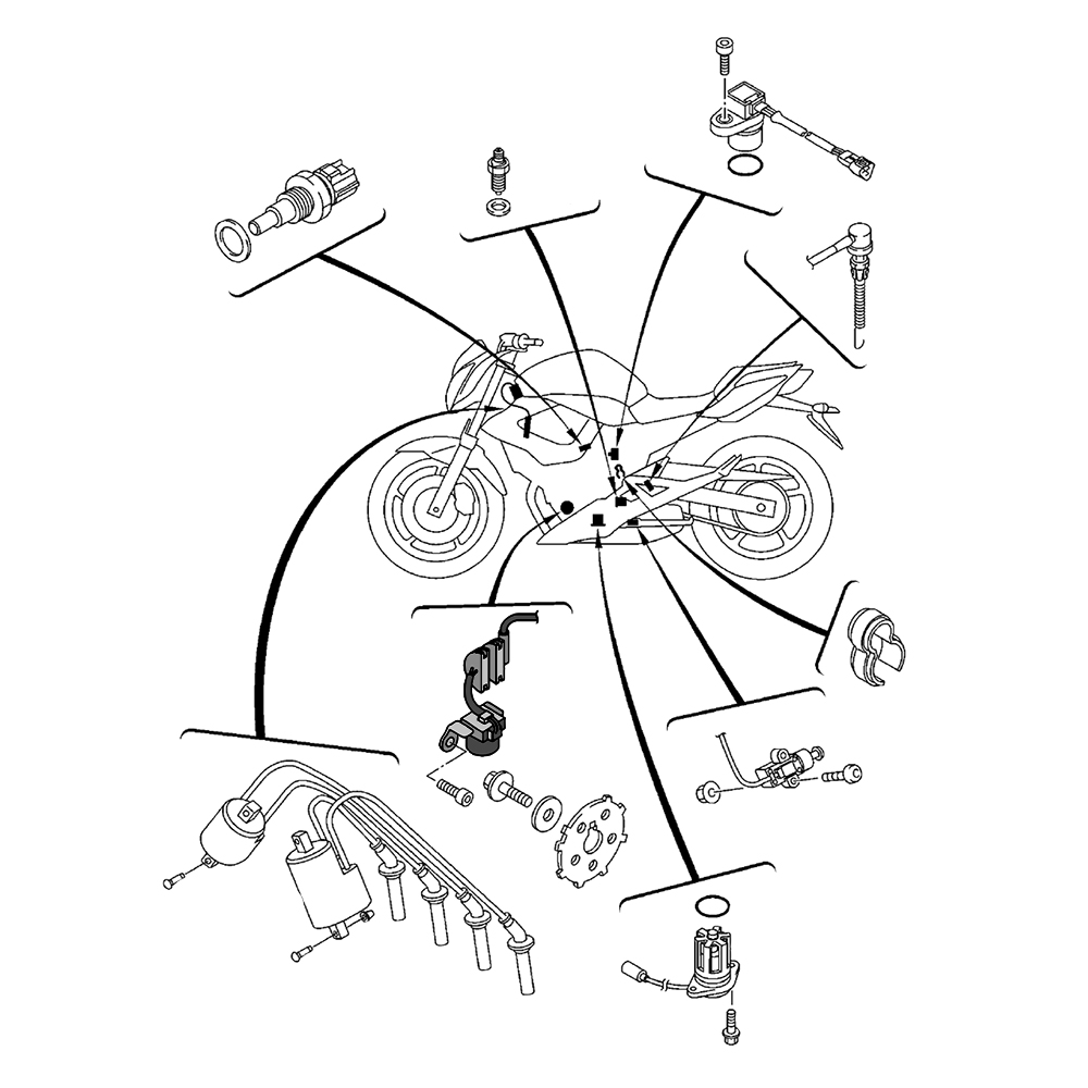 811432 - miniatura 2