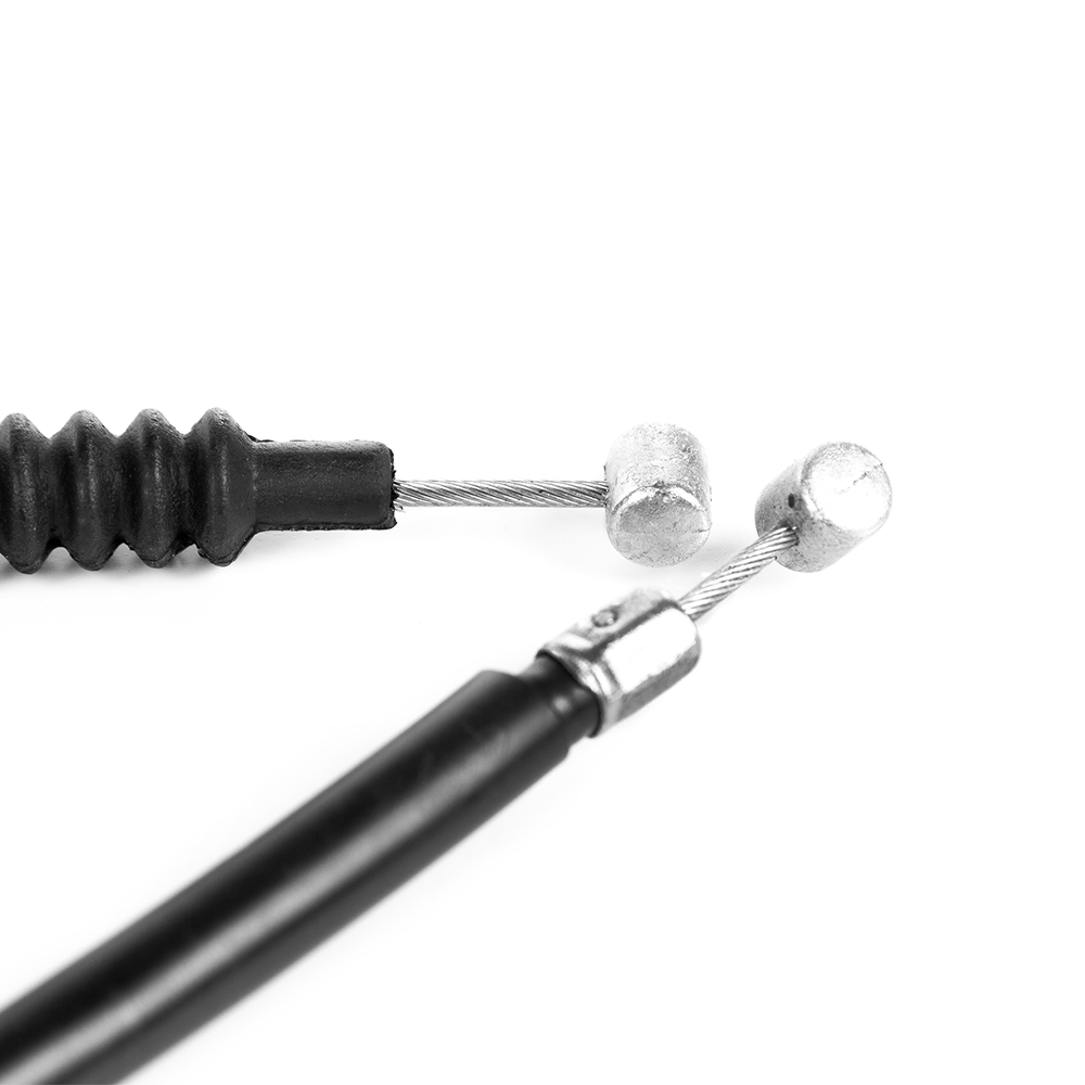 955532 - miniatura 2