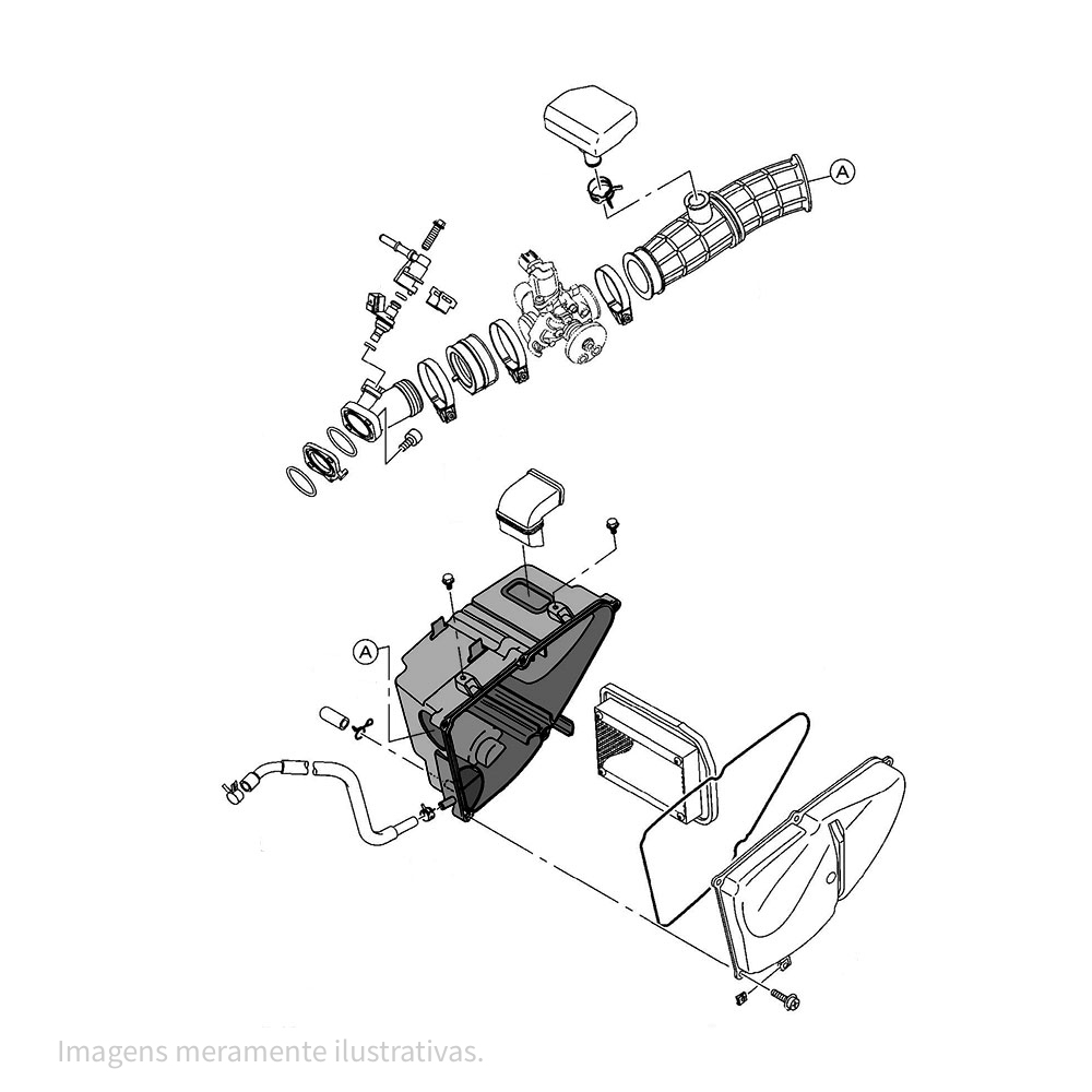 828747 - miniatura 2