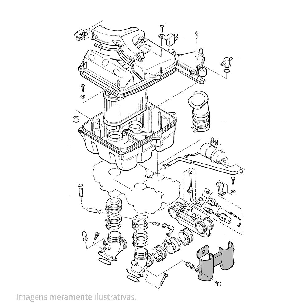 917346 - miniatura 2