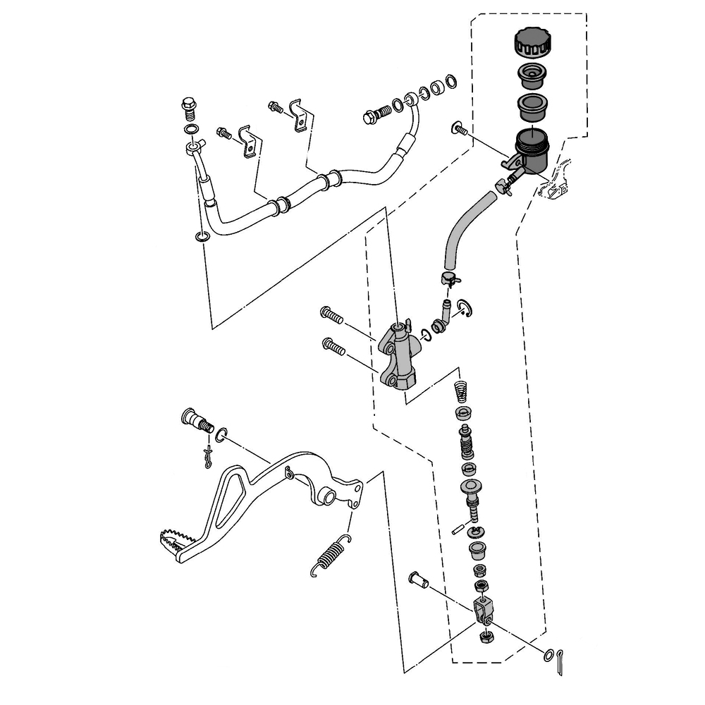 792954 - miniatura 3