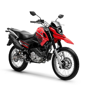 341642 - miniatura 3