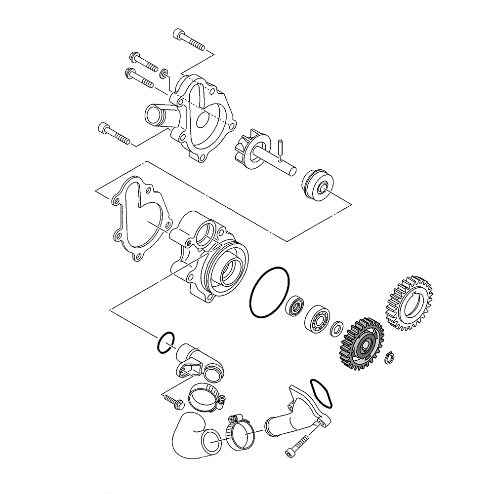 577909 - miniatura 3