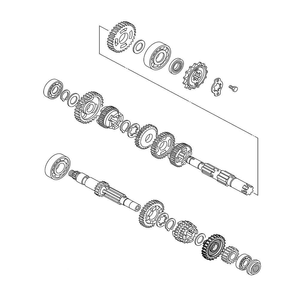 799059 - miniatura 4