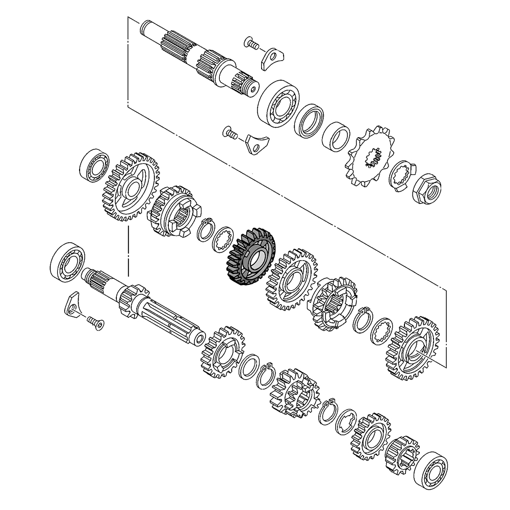 585941 - miniatura 2