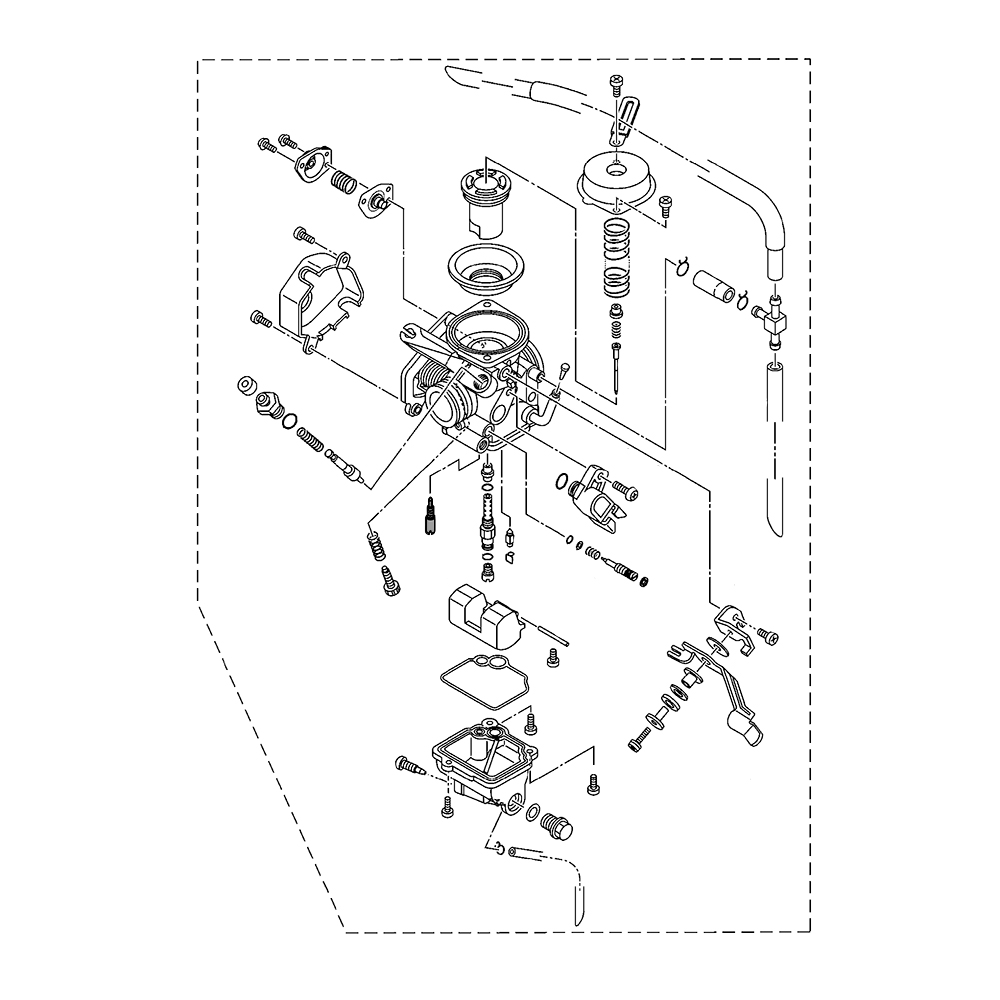 854186 - miniatura 2