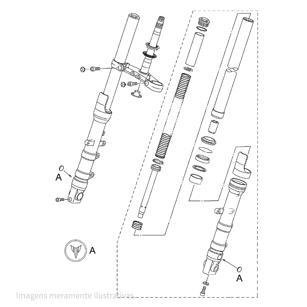855864 - miniatura 3