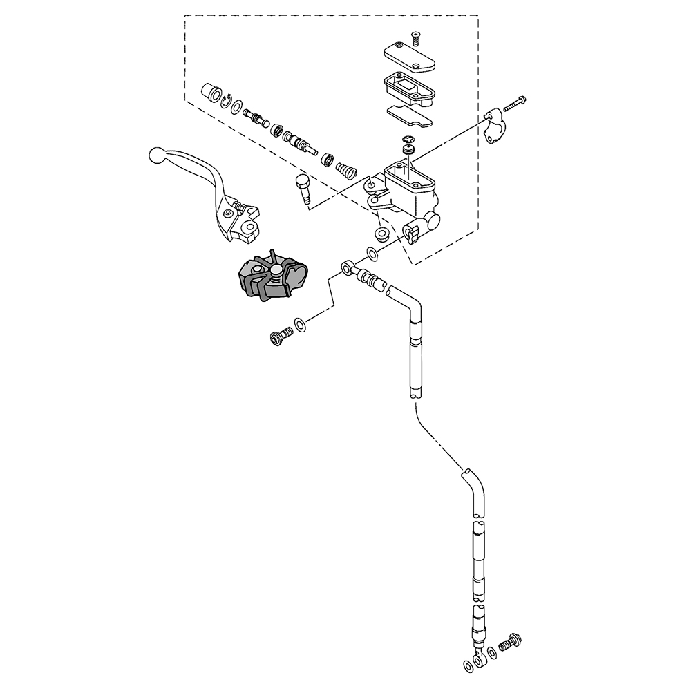 830872 - miniatura 3