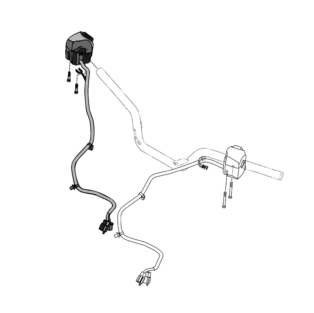 653077 - miniatura 2