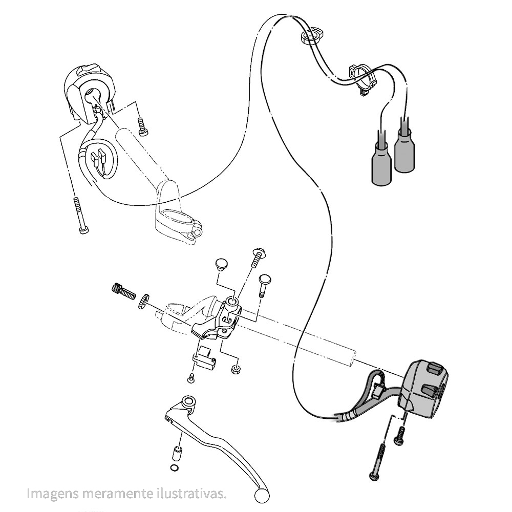 654031-1 - miniatura 2