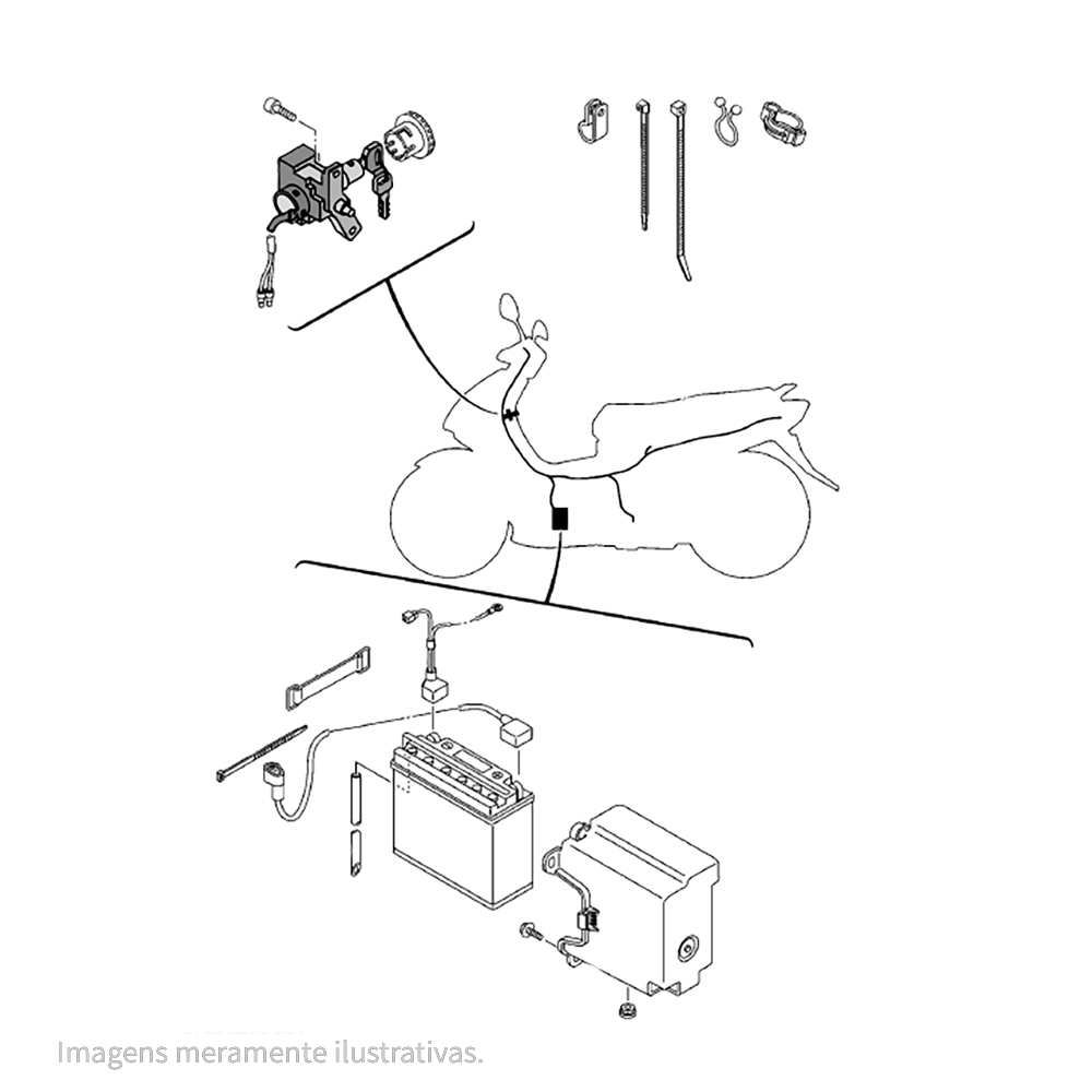 729933 - miniatura 2