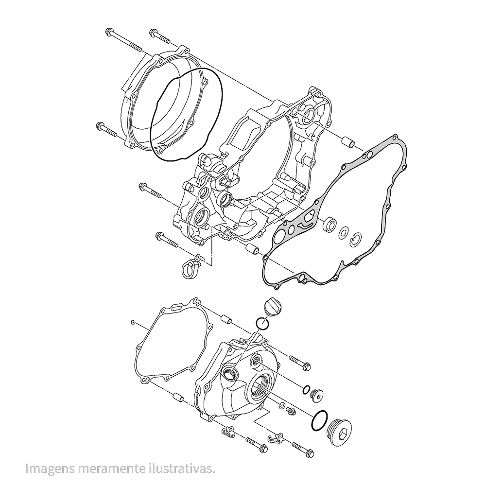 633599 - miniatura 3