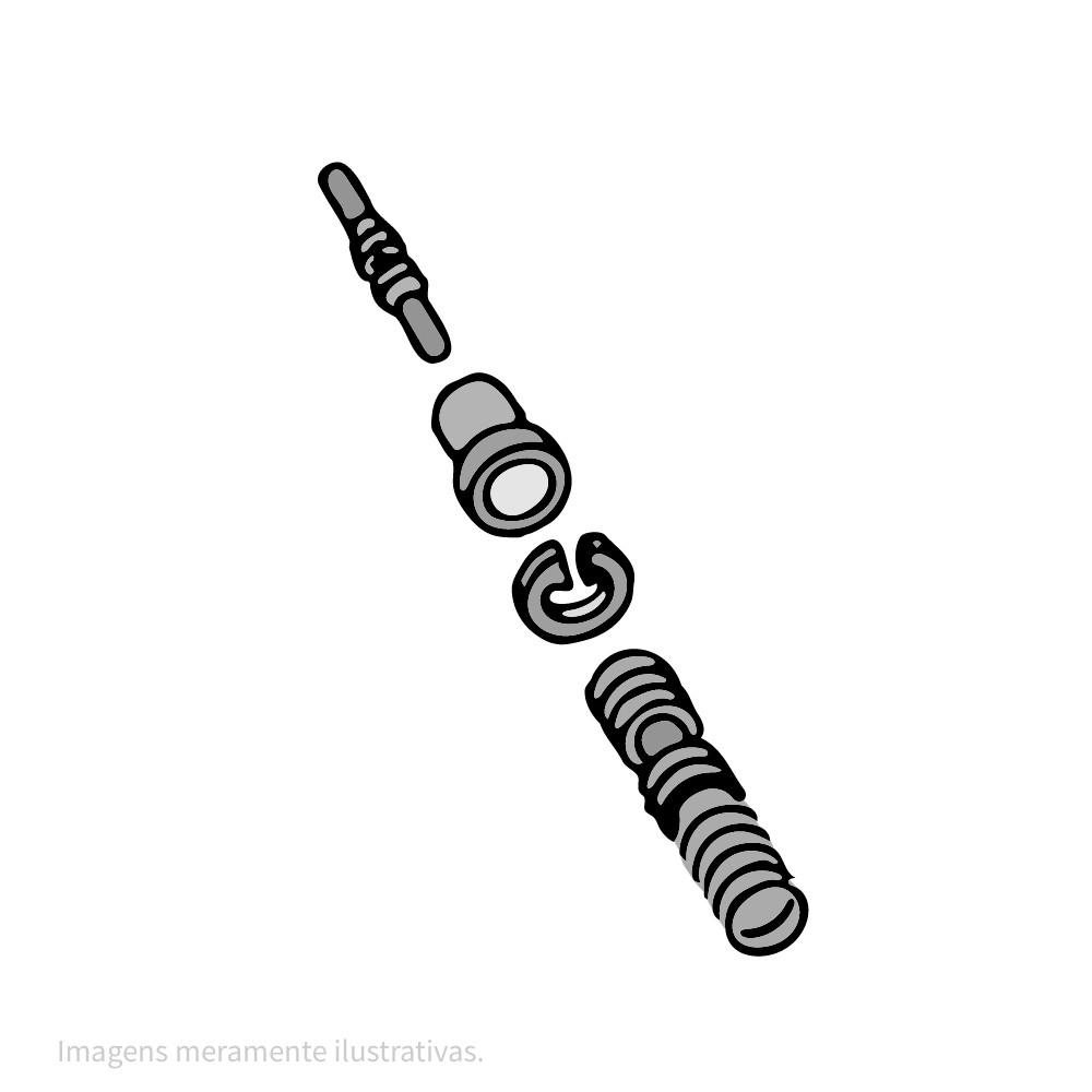 663096-2 - imagem 1