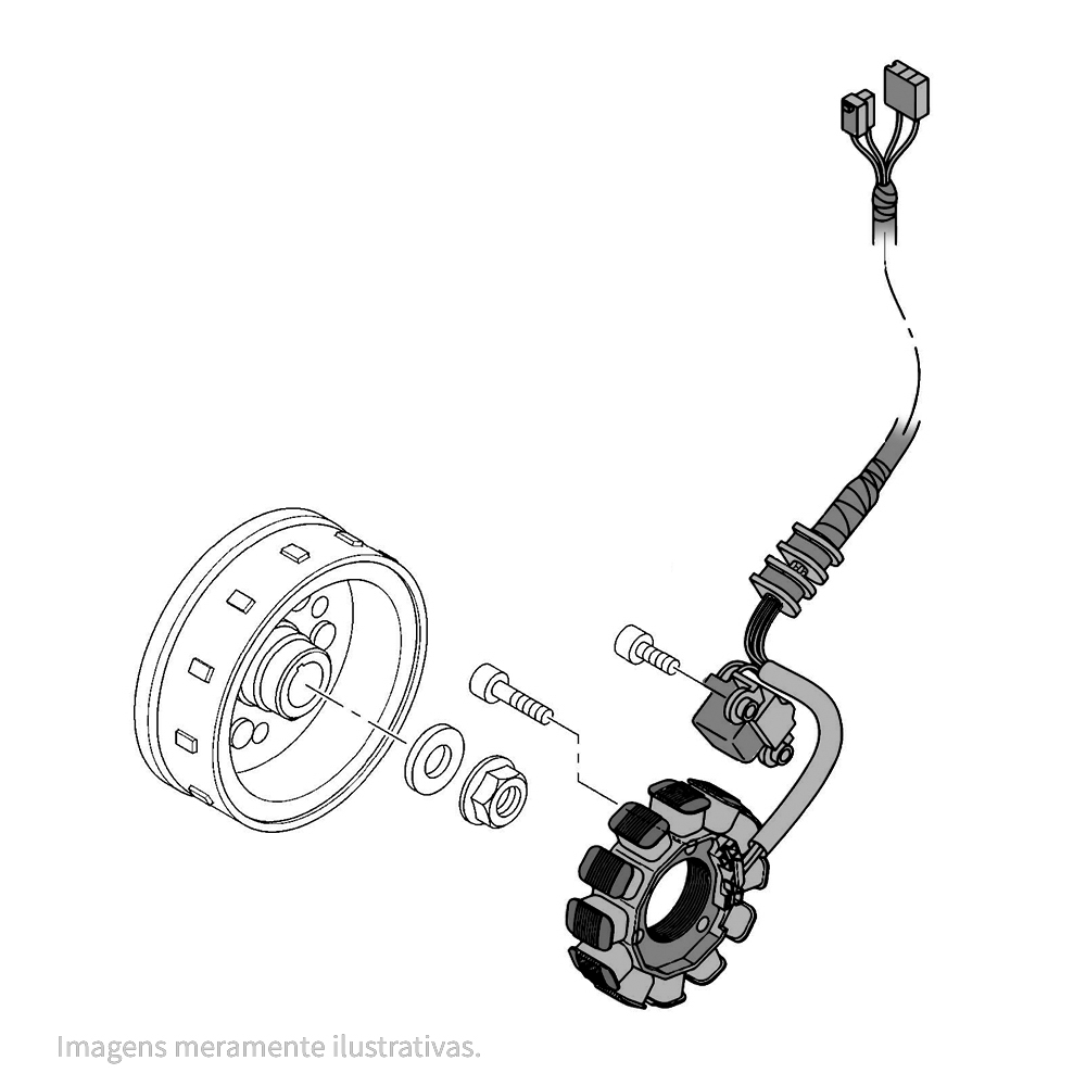 753965-2 - miniatura 3