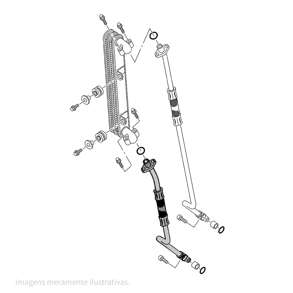 676976 - miniatura 3