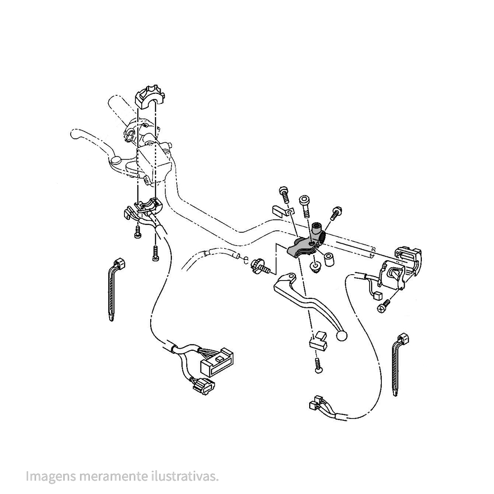 495312 - miniatura 3