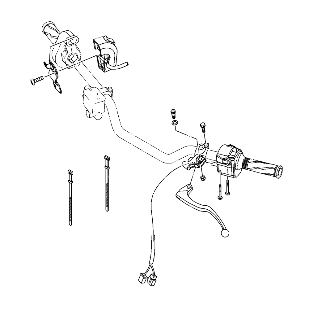 894473 - miniatura 2