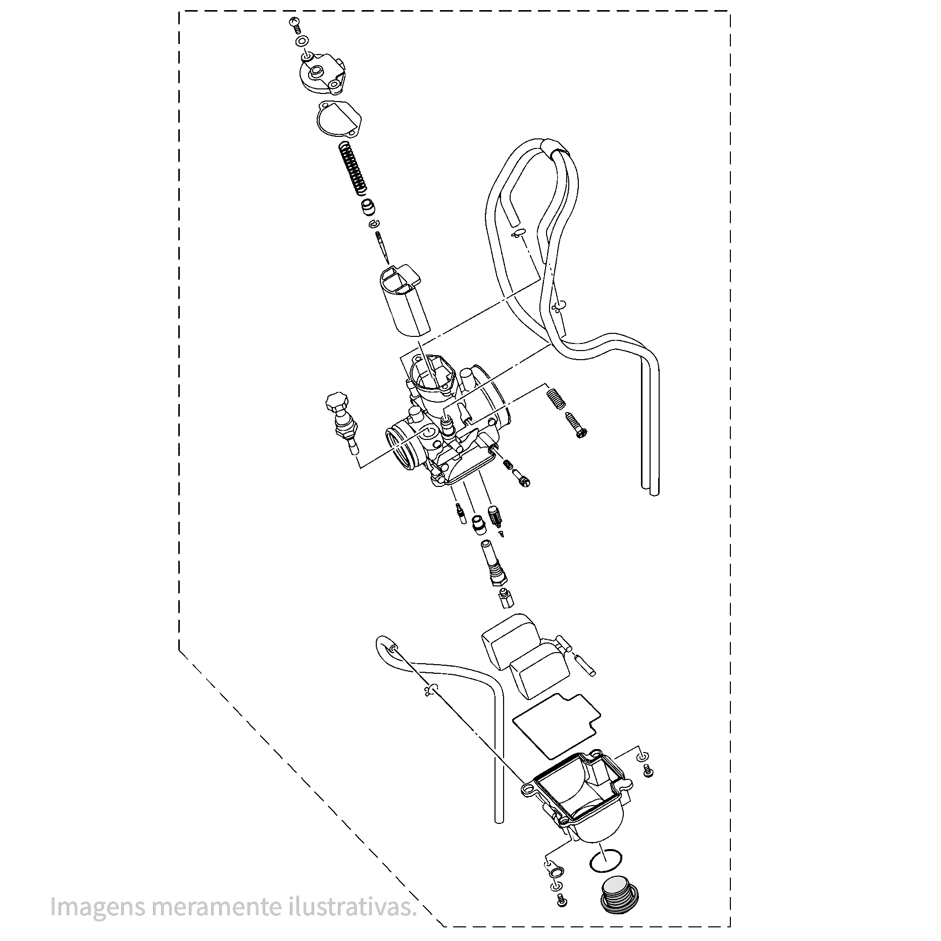 690133 - miniatura 3