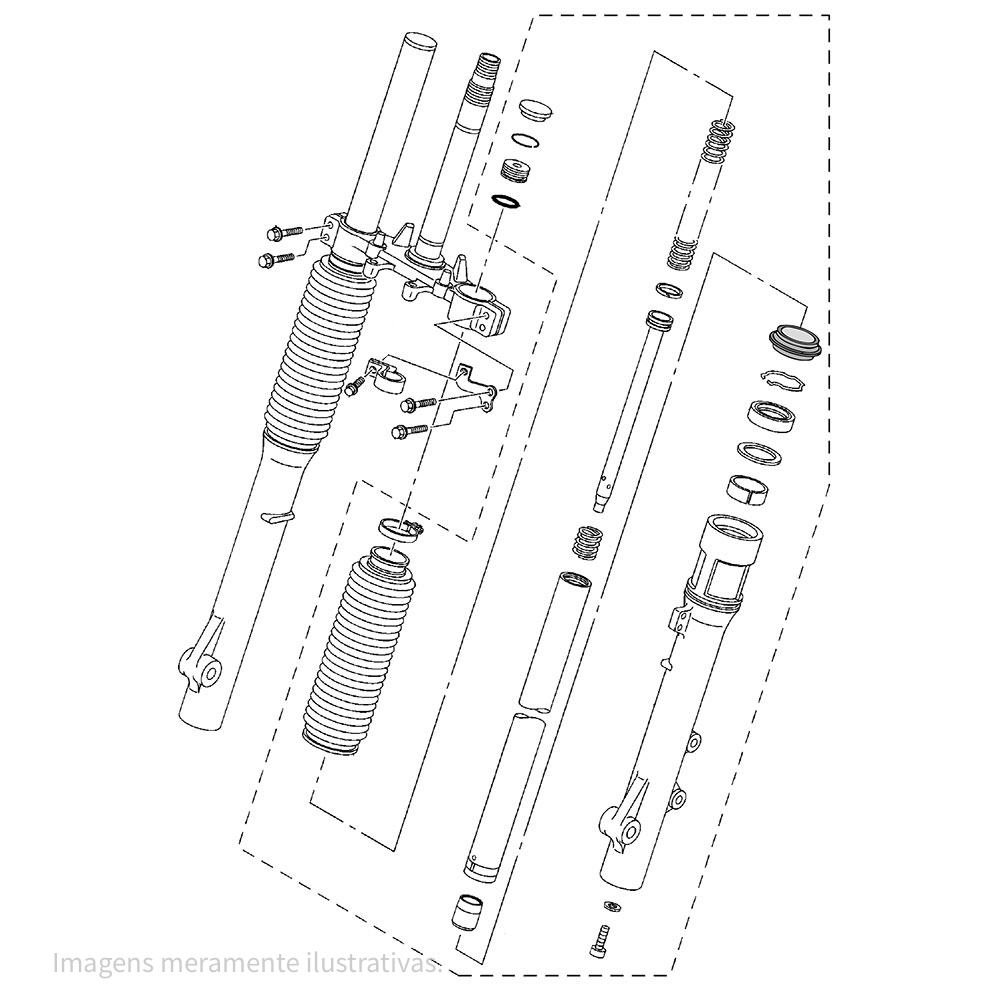 716842 - miniatura 2