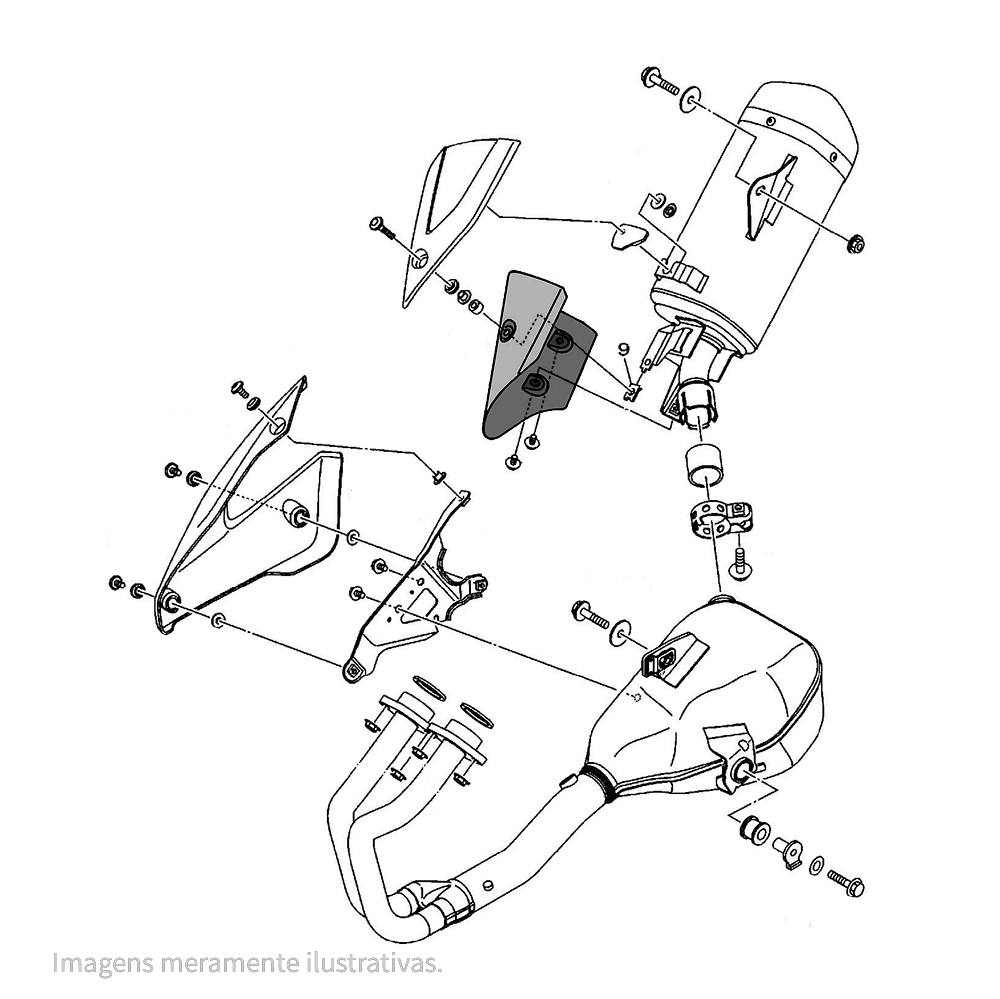 860791 - miniatura 3