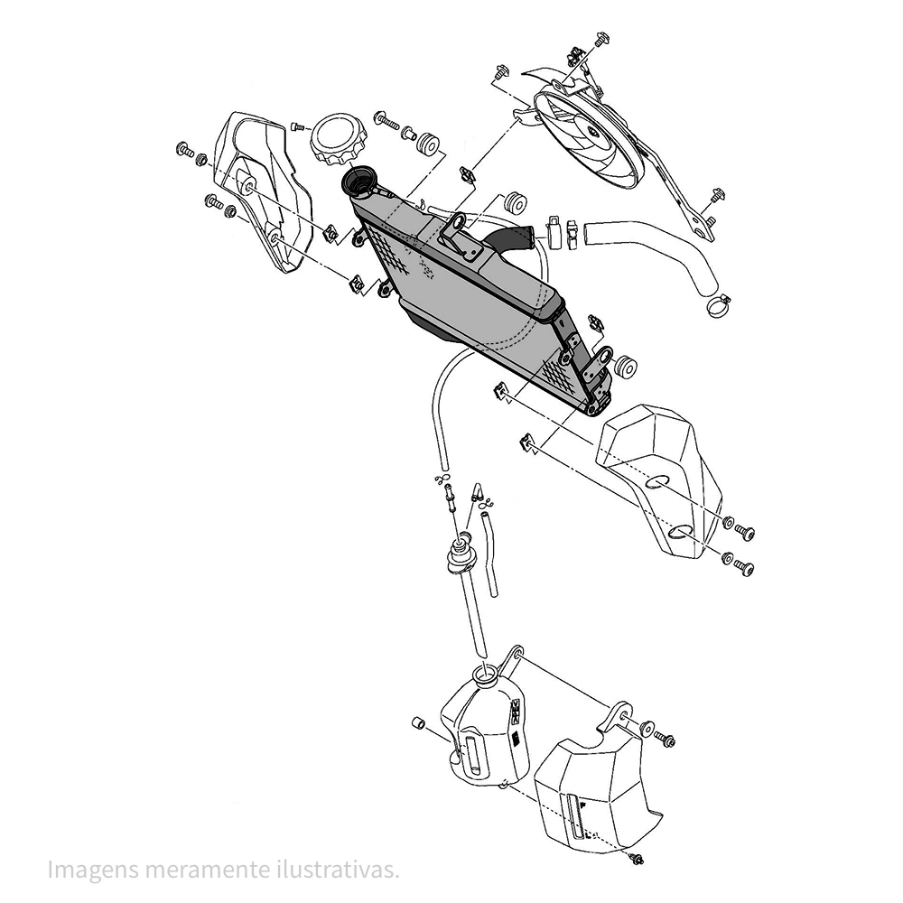 720056 - miniatura 2