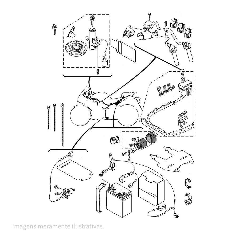 721335 - miniatura 3