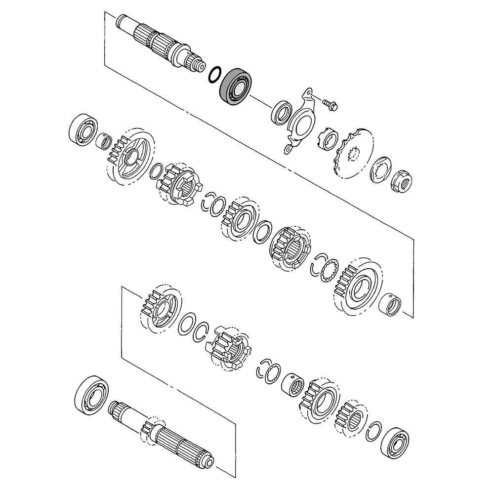 751509 - miniatura 3