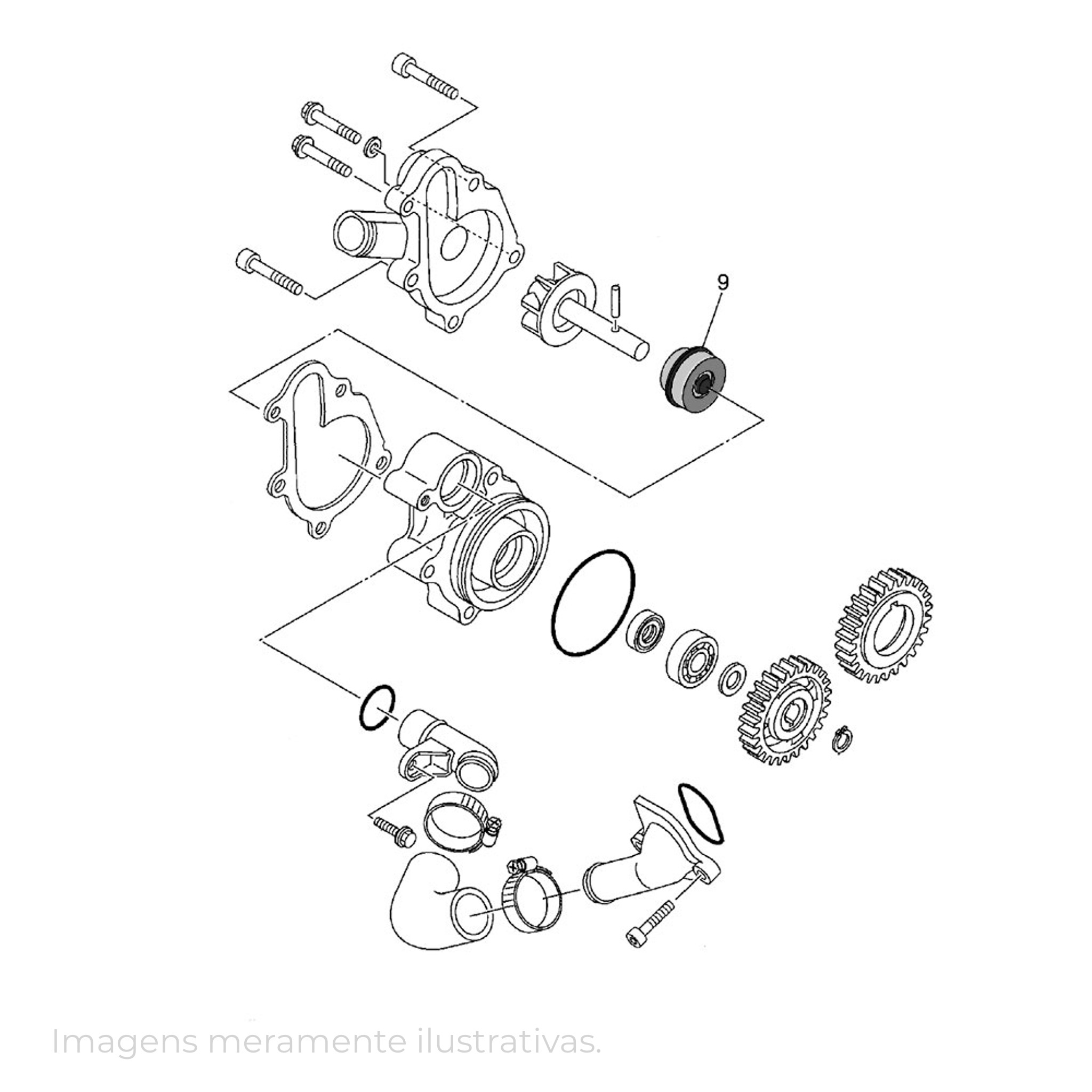 439311-1 - miniatura 11