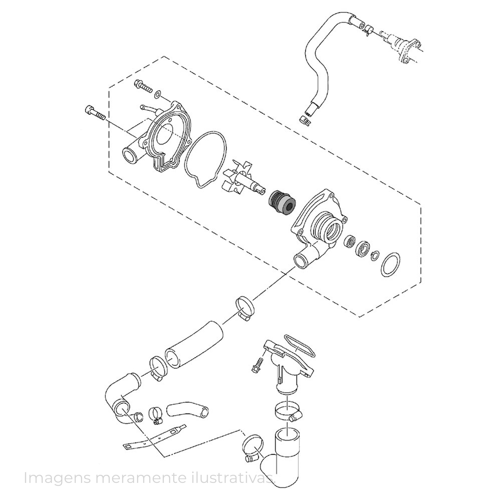 439311 - miniatura 10
