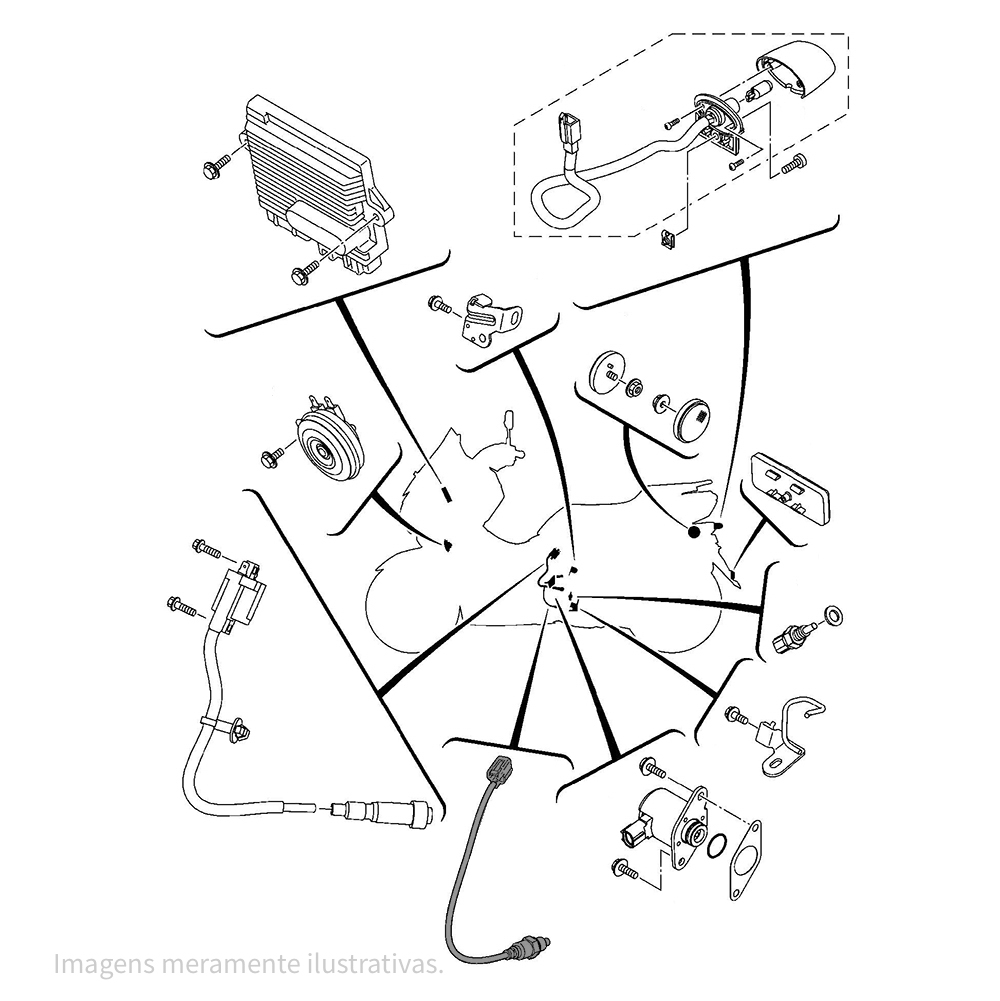 777186 - miniatura 3