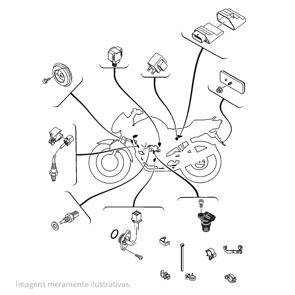 725403 - miniatura 3