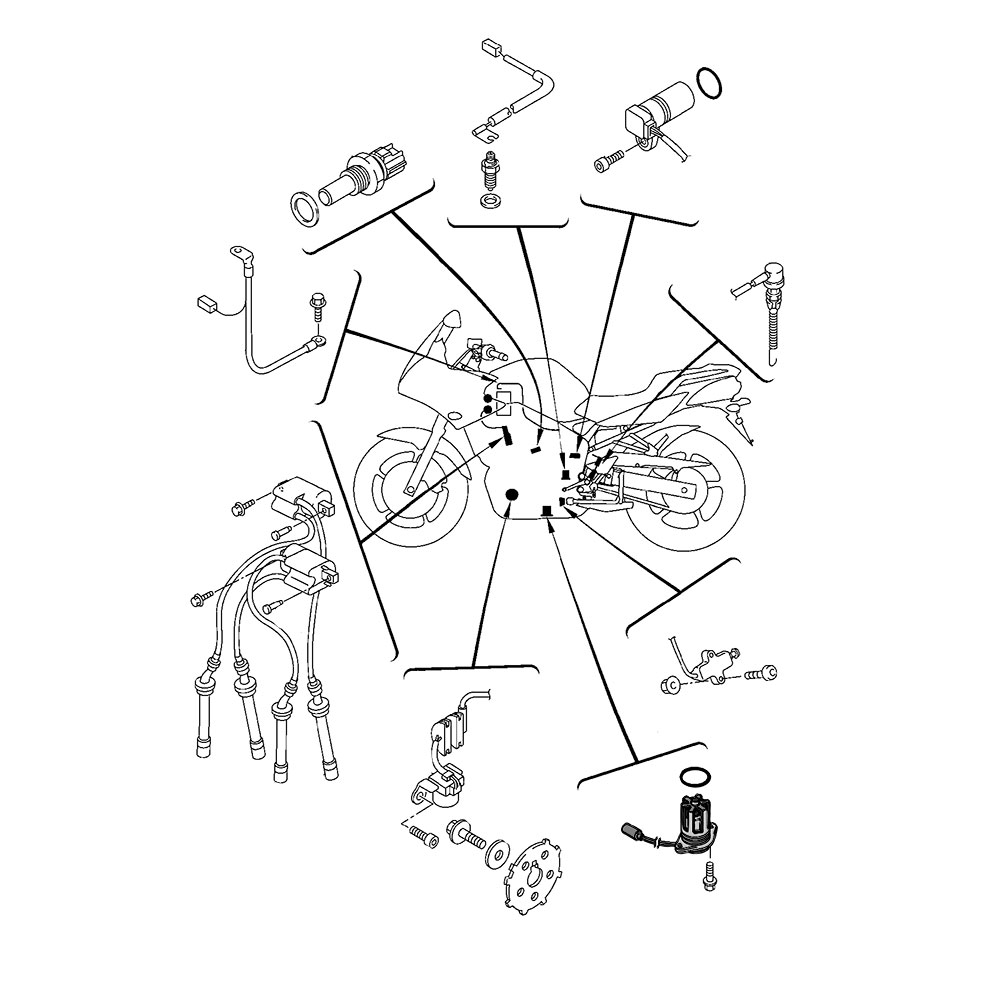 681167 - miniatura 2