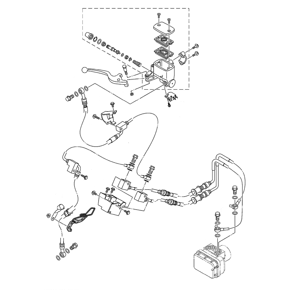 928892 - miniatura 2