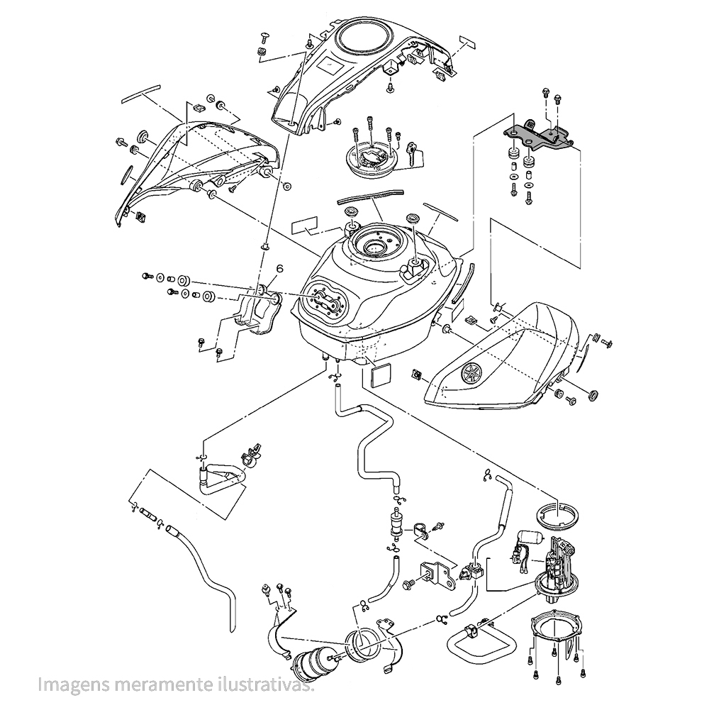 948943 - miniatura 3