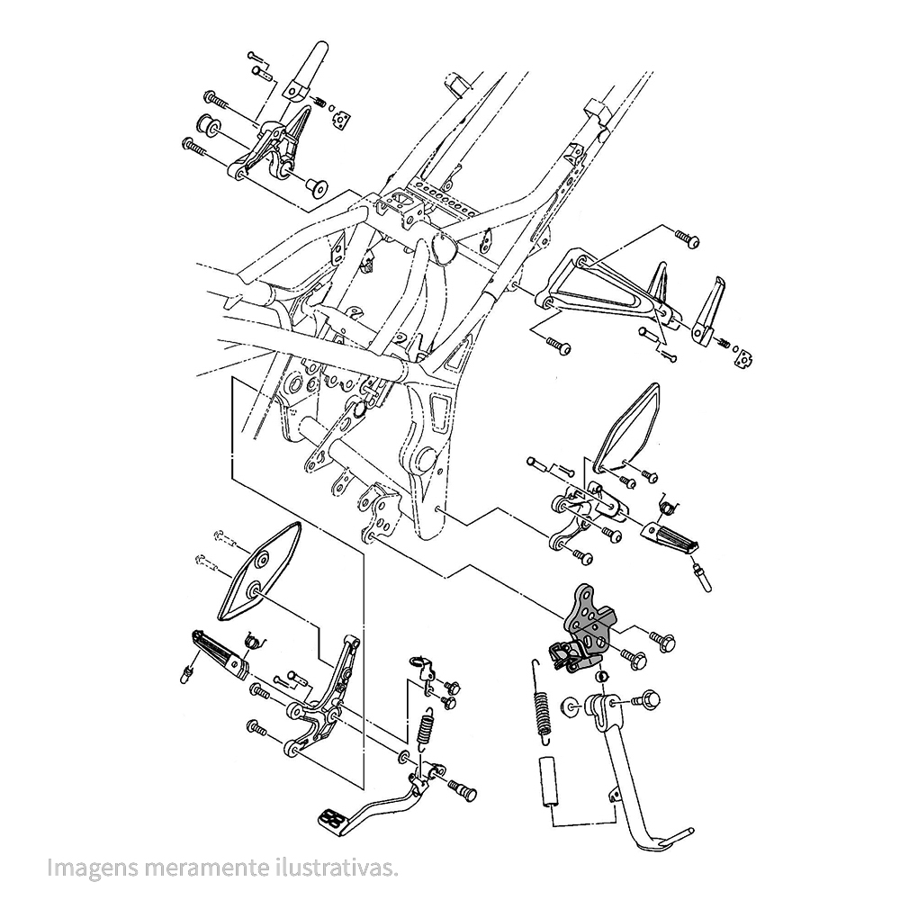 954655 - miniatura 2
