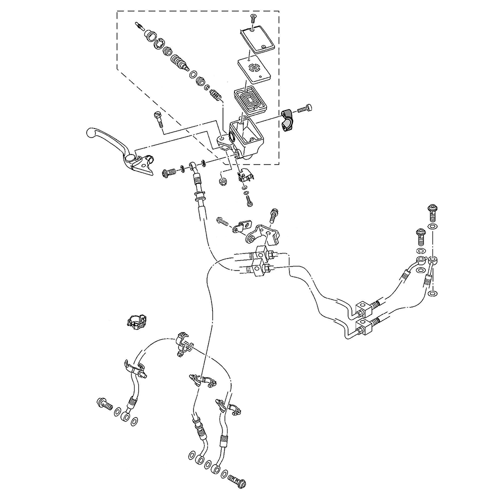 897109 - miniatura 3