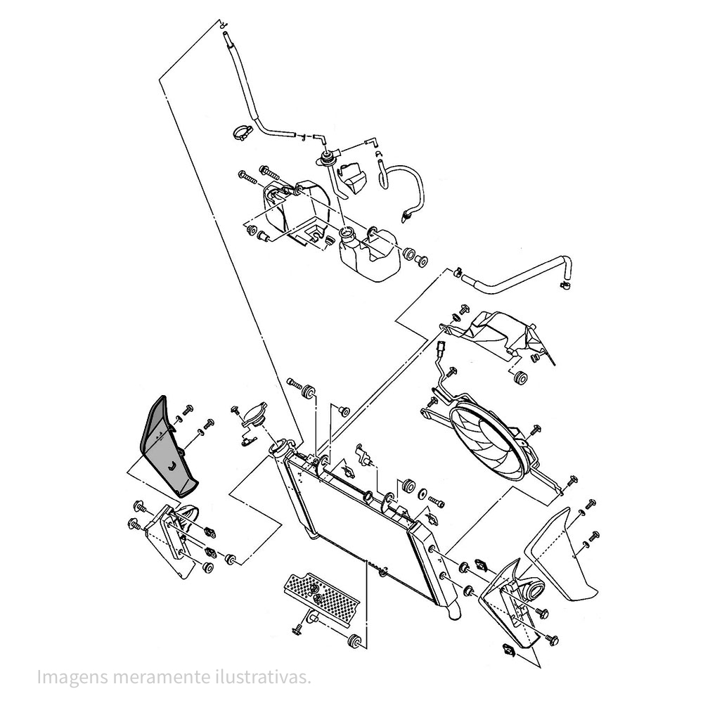 898017 - miniatura 2