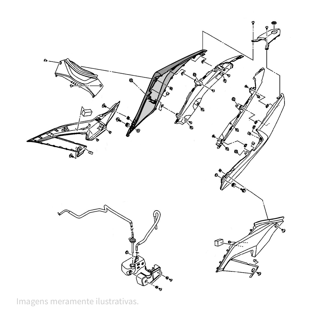 902890-1 - miniatura 2
