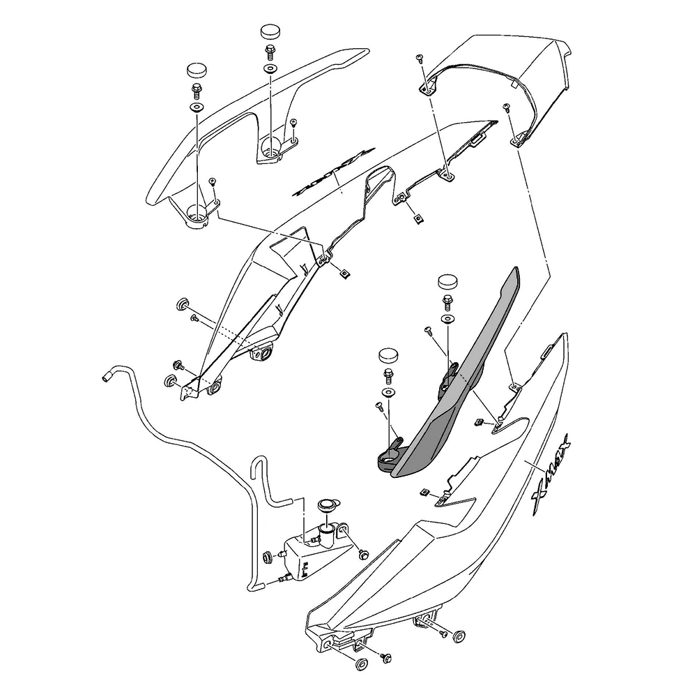 954550 - miniatura 2