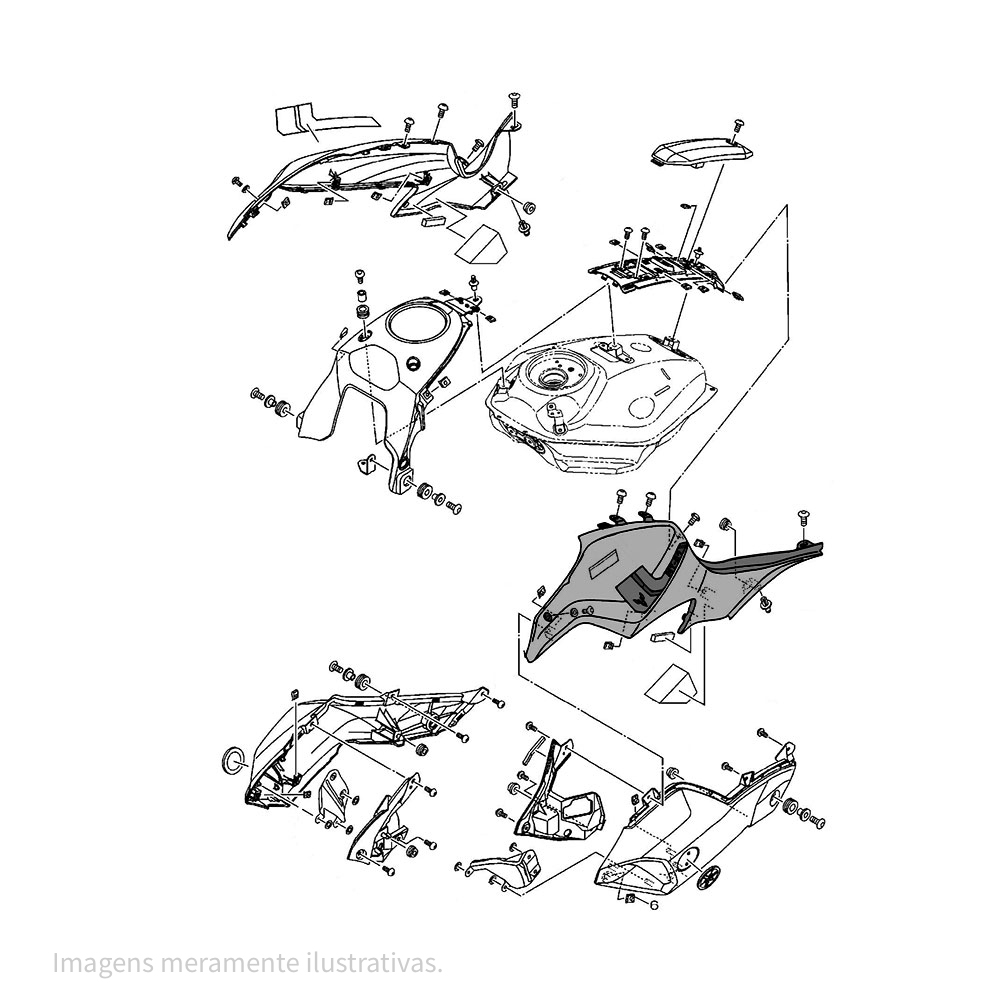 946886 - miniatura 2