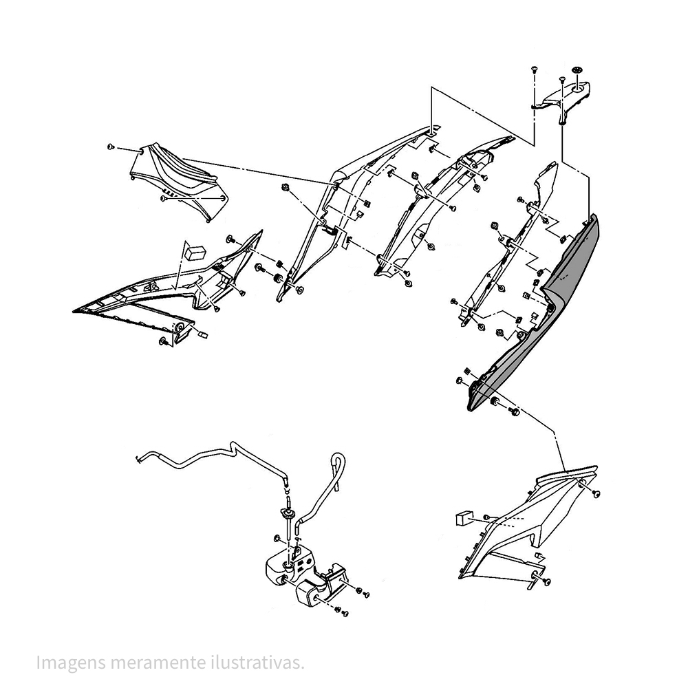 907888-1 - miniatura 2