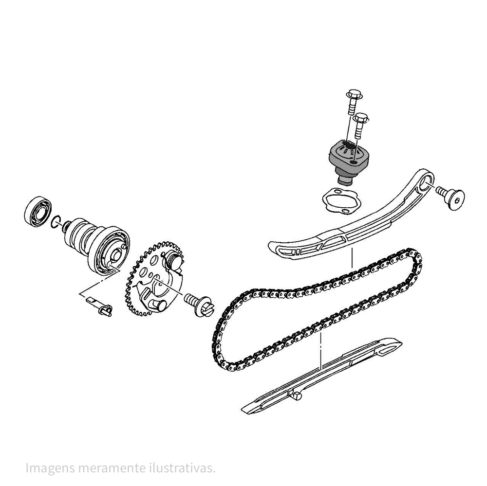 729628-2 - imagem 3