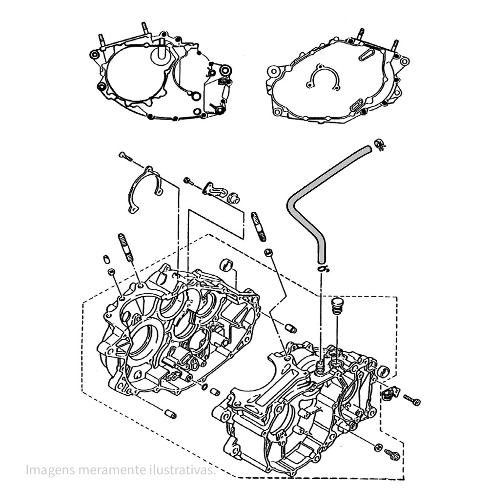 888618 - miniatura 2