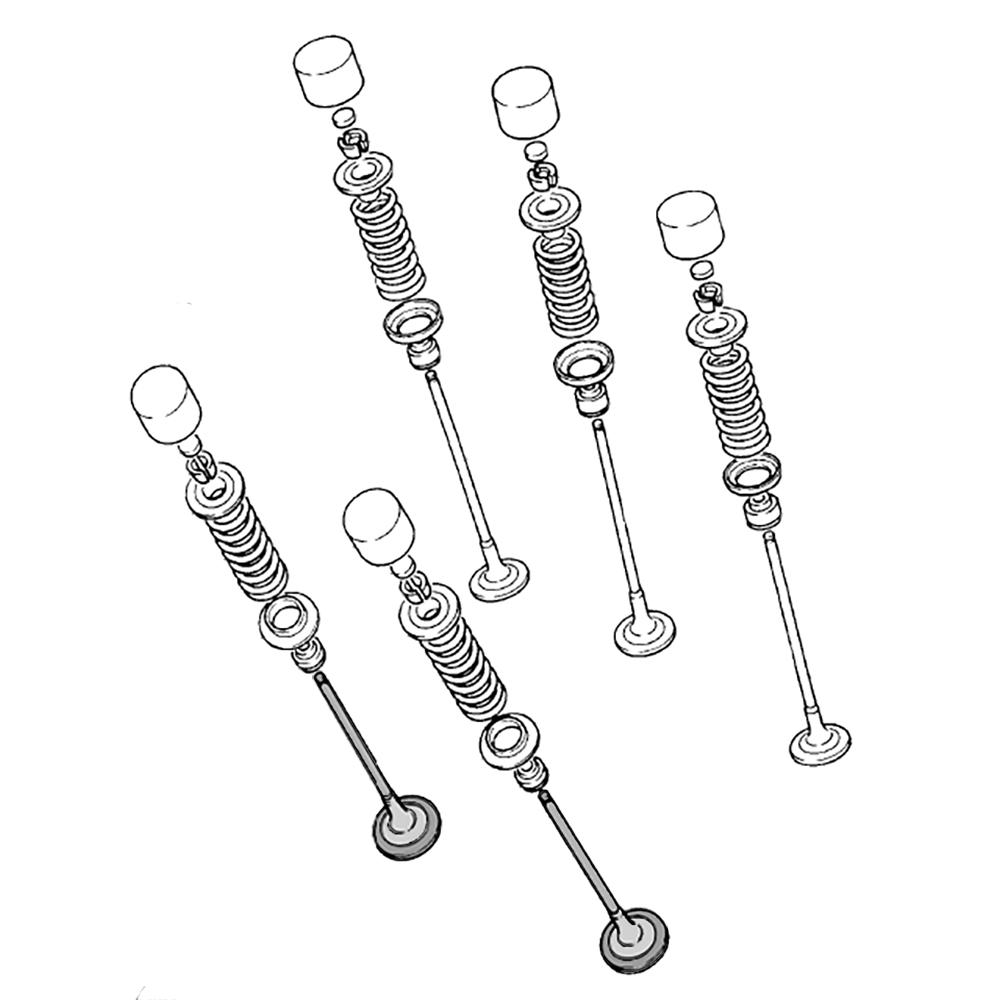 738430 - miniatura 2